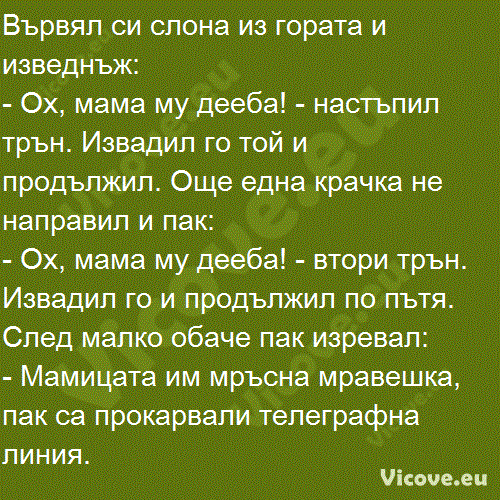 Вървял си слона из гората и изведнъж