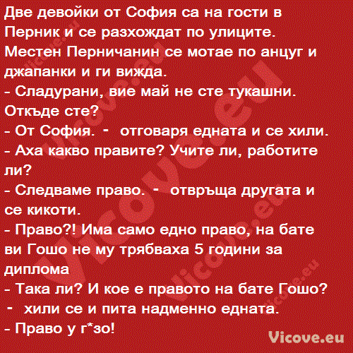 Две девойки от София са на гости в Перник