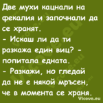 Две мухи кацнали на&nbsp;фекали...