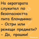 На аерогарата служител по безоп...