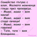 Семейство пътува с влак. Малкот...