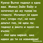 Кумчо Вьлчо паднал в една яма. ...