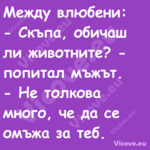 Между влюбени: Скъпа, обич...